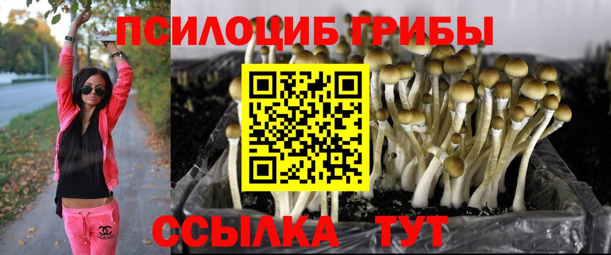 Галлюциногенные грибы MAGIC MUSHROOMS Пермь